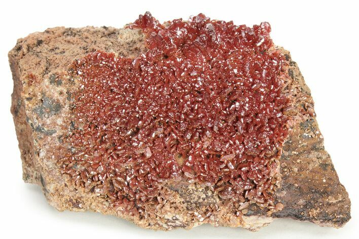 Ruby Red Vanadinite Crystals on Dolomite - Morocco #233967